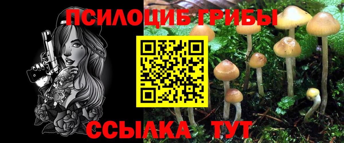 Галлюциногенные грибы GOLDEN TEACHER  Вход с VPN  Междуреченск 