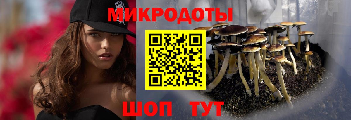 Псилоцибиновые грибы прущие грибы Междуреченск