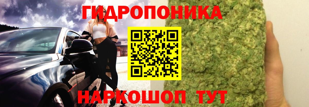 Канабис OG Kush Междуреченск